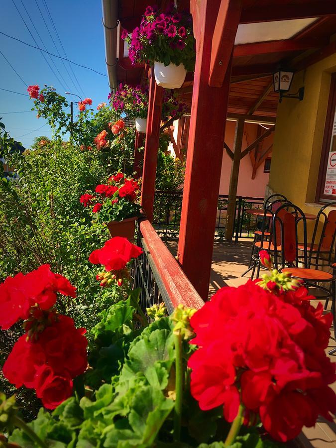 Villa Negra Motel Berzence Екстер'єр фото