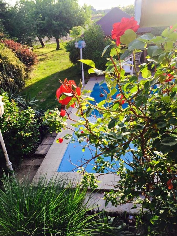 Villa Negra Motel Berzence Екстер'єр фото